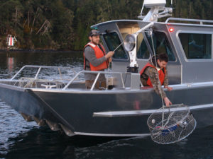 Ace Line Hauler crab pot puller (100 lb), mounted with power plug