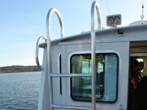 Ladder - to cabin top