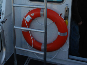 Life ring & holder 30" with 50' line & holder