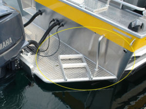 Swim Ladder