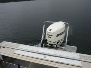 Motor guard for single outboard (tow rope protection).
